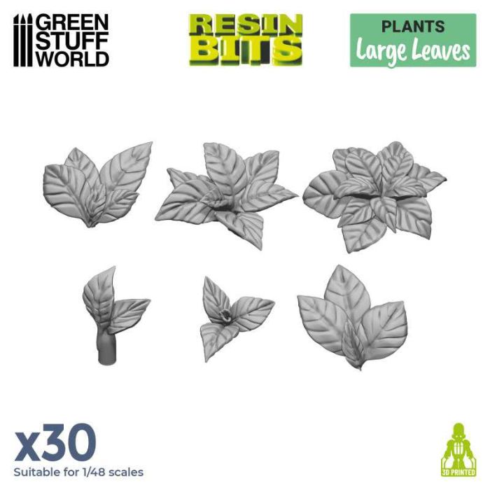 Large Leaves