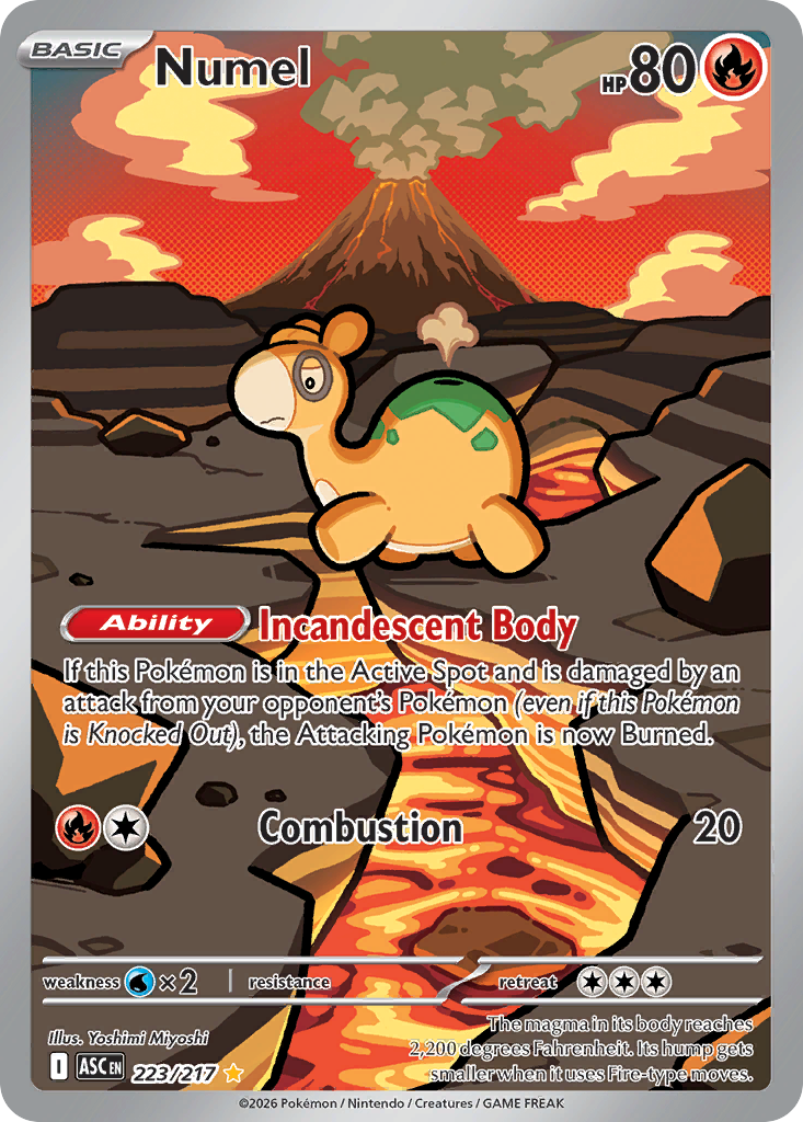 Numel - Ascended Heroes - 223/217 - Holofoil